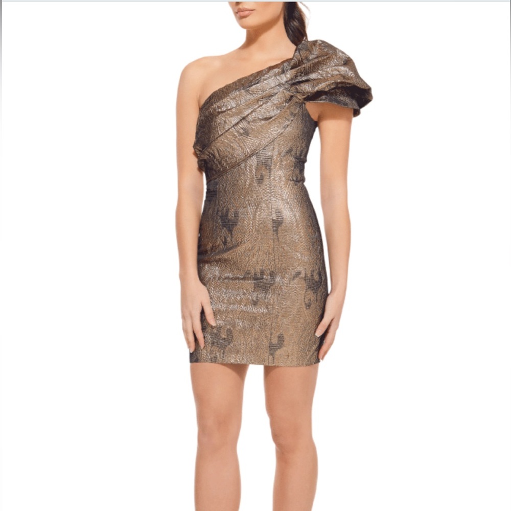 Bianca and Bridgett Ledi dress size XS